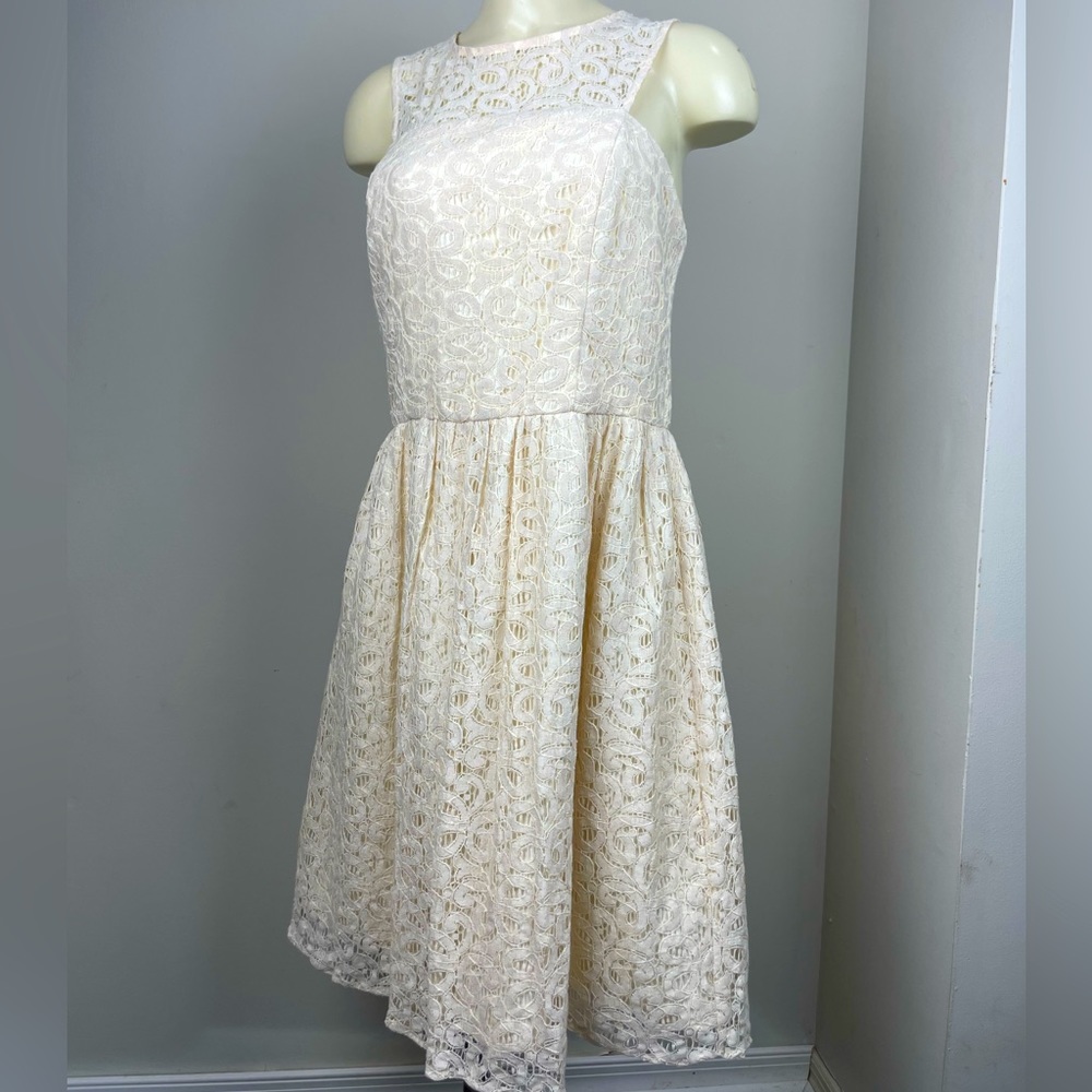 The Limited Lace Women’s Dress Size 10
